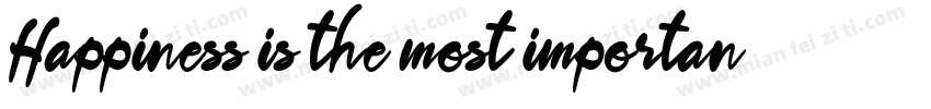Happiness is the most important字体转换